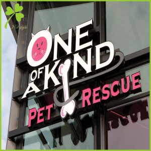 Custom Front Lit Store Logo Sign